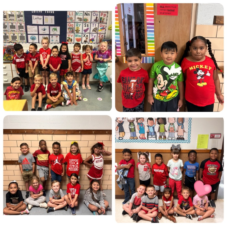 mustang spirit